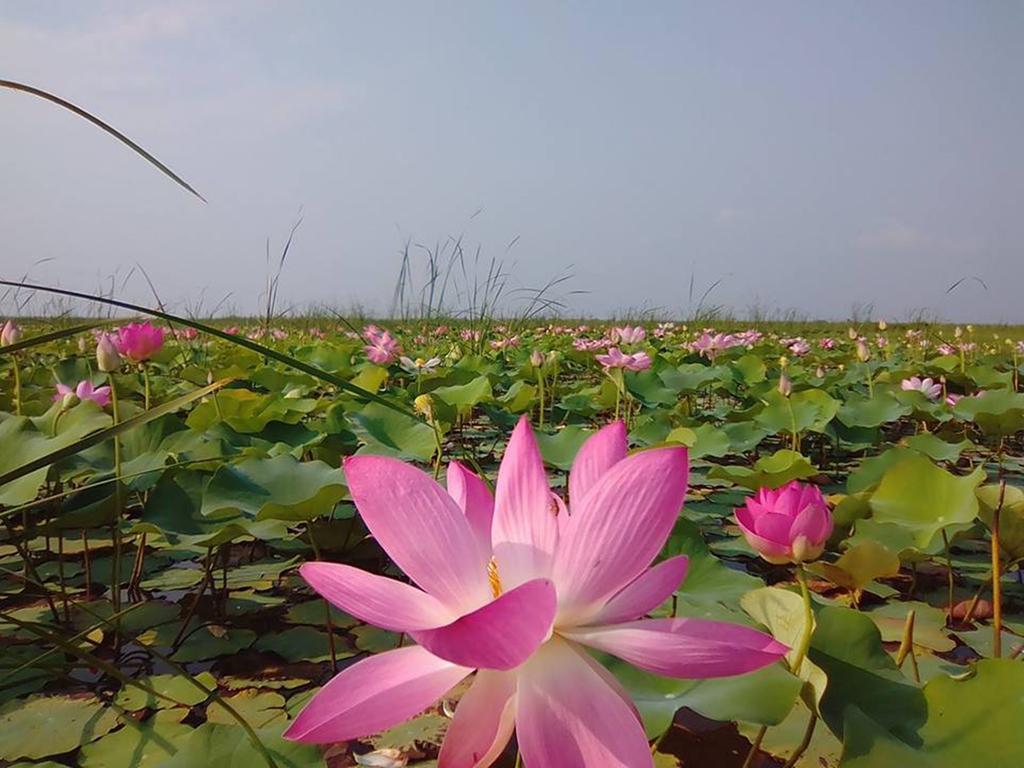 Lungcha Homestay Sam Roi Yot Buitenkant foto