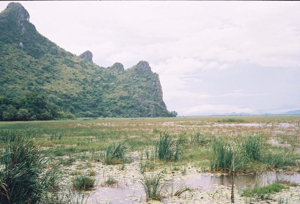 Lungcha Homestay Sam Roi Yot Buitenkant foto